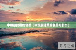 中国最隐藏的怪兽（中国最隐藏的怪兽是什么）