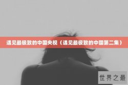 遇见最极致的中国央视（遇见最极致的中国第二集）
