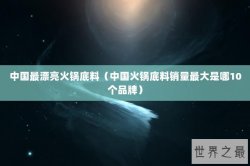 中国最漂亮火锅底料（中国火锅底料销量最大是哪10个品牌）