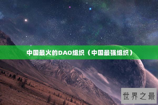中国最火的DAO组织（中国最强组织）