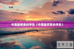 中国最器重的学生（中国最厉害的学生）
