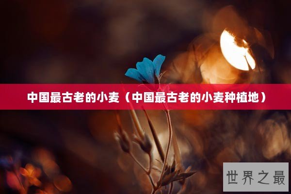 中国最古老的小麦（中国最古老的小麦种植地）