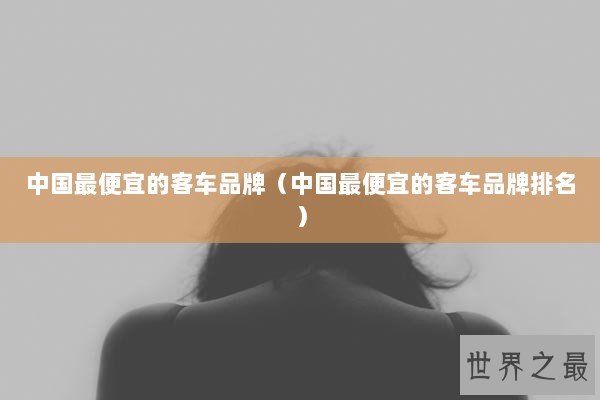 中国最便宜的客车品牌（中国最便宜的客车品牌排名）