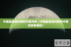 中国最唐朝时期的中国马种（中国最唐朝时期的中国马种有哪些）