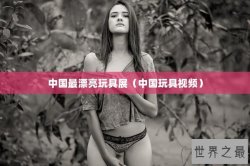 中国最漂亮玩具展（中国玩具视频）