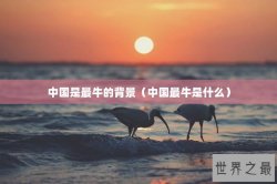 中国是最牛的背景（中国最牛是什么）