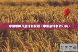 中国哪种刀最锋利视频（中国最锋利的刀具）