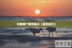 中国哪个国货最火（国货排行）