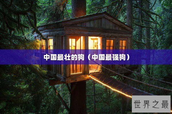 中国最壮的狗（中国最强狗）