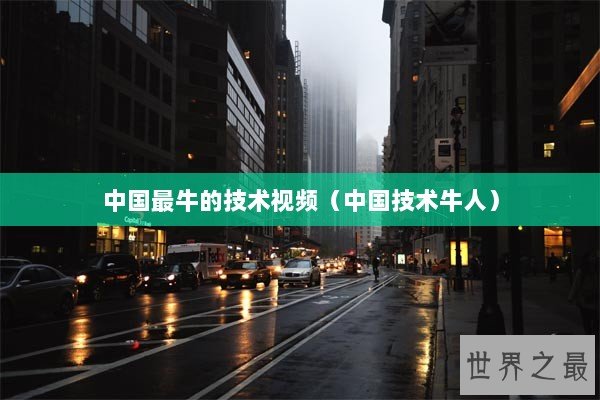 中国最牛的技术视频（中国技术牛人）