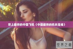 世上最帅的中国飞机（中国最帅的机长是谁）