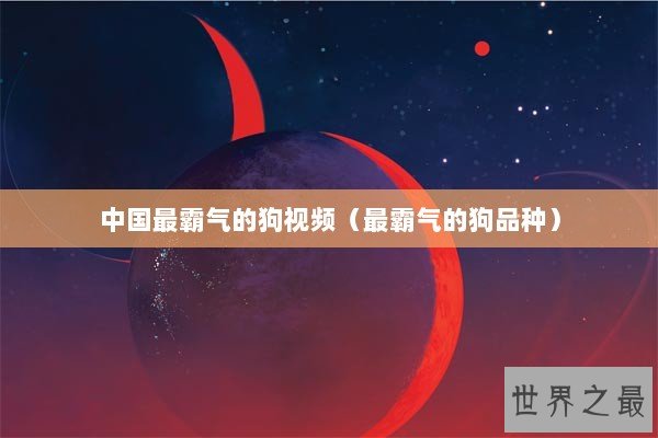 中国最霸气的狗视频（最霸气的狗品种）