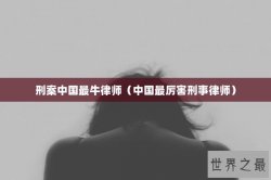 刑案中国最牛律师（中国最厉害刑事律师）
