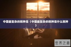 中国最复杂的税种是（中国最复杂的税种是什么税种）