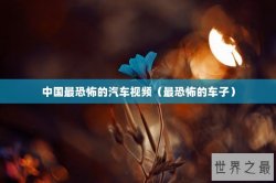 中国最恐怖的汽车视频（最恐怖的车子）
