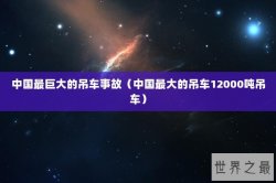中国最巨大的吊车事故（中国最大的吊车12000吨吊车）
