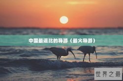 中国最逗比的导游（最火导游）