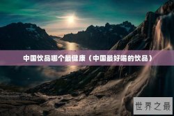 中国饮品哪个最健康（中国最好喝的饮品）