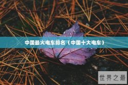 中国最火电车排名（中国十大电车）