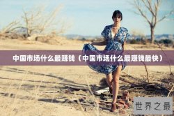 中国市场什么最赚钱（中国市场什么最赚钱最快）