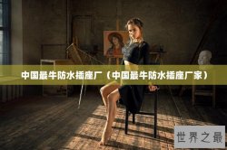 中国最牛防水插座厂（中国最牛防水插座厂家）