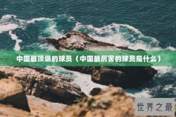 中国最顶级的球员（中国最厉害的球员是什么）
