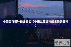 中国兰花哪种最名贵的（中国兰花哪种最名贵的品种）