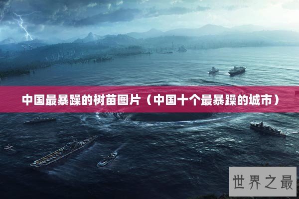 中国最暴躁的树苗图片（中国十个最暴躁的城市）