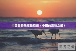 中国最特殊高铁视频（中国的高铁之最）