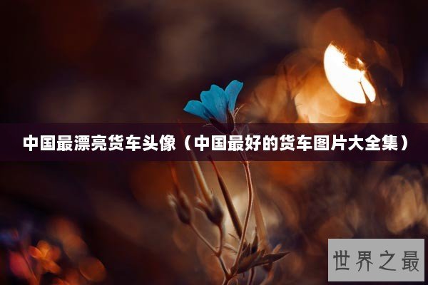 中国最漂亮货车头像（中国最好的货车图片大全集）