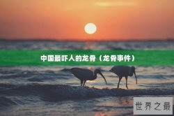 中国最吓人的龙骨（龙骨事件）