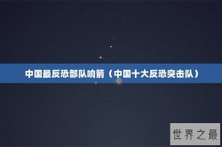 中国最反恐部队响箭（中国十大反恐突击队）