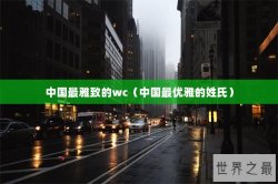 中国最雅致的wc（中国最优雅的姓氏）