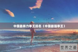 中国最暴力拳王排名（中国最强拳王）