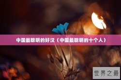 中国最聪明的好汉（中国最聪明的十个人）