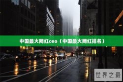 中国最火网红ceo（中国最火网红排名）