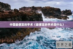 中国最便宜的手术（最便宜的手术是什么）
