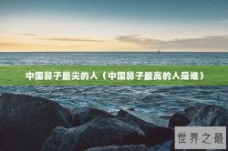 中国鼻子最尖的人（中国鼻子最高的人是谁）