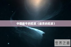 中国最牛的蛇皮（最贵的蛇皮）