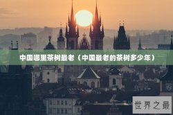 中国哪里茶树最老（中国最老的茶树多少年）