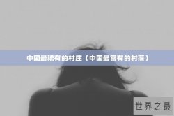 中国最稀有的村庄（中国最富有的村落）