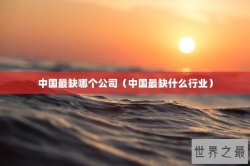 中国最缺哪个公司（中国最缺什么行业）