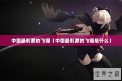 中国最刺激的飞镖（中国最刺激的飞镖是什么）