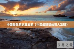 中国最聪明农民发明（中国最聪明的犯人发明）