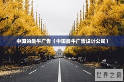 中国的最牛广告（中国最牛广告设计公司）