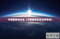中国最胖的企业（中国最胖的企业家是谁）