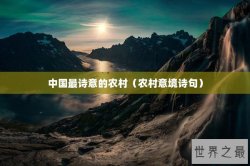 中国最诗意的农村（农村意境诗句）