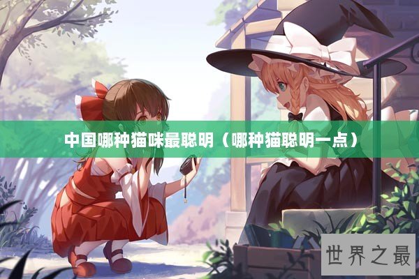 中国哪种猫咪最聪明（哪种猫聪明一点）