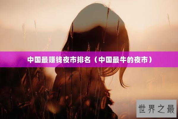 中国最赚钱夜市排名（中国最牛的夜市）