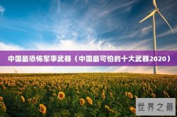 中国最恐怖军事武器（中国最可怕的十大武器2020）